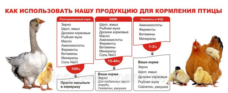 Как использовать корма, БВМК и премиксы для кормления птицы